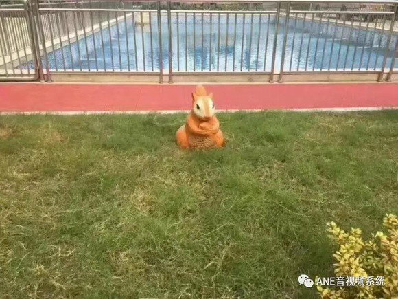 6_resize.jpg 6_resize.jpg